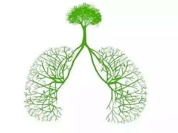 肺癌的主要预防措施